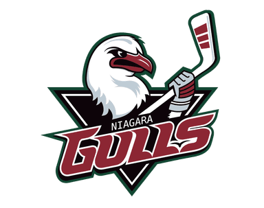 Gulls