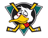 MDR logo