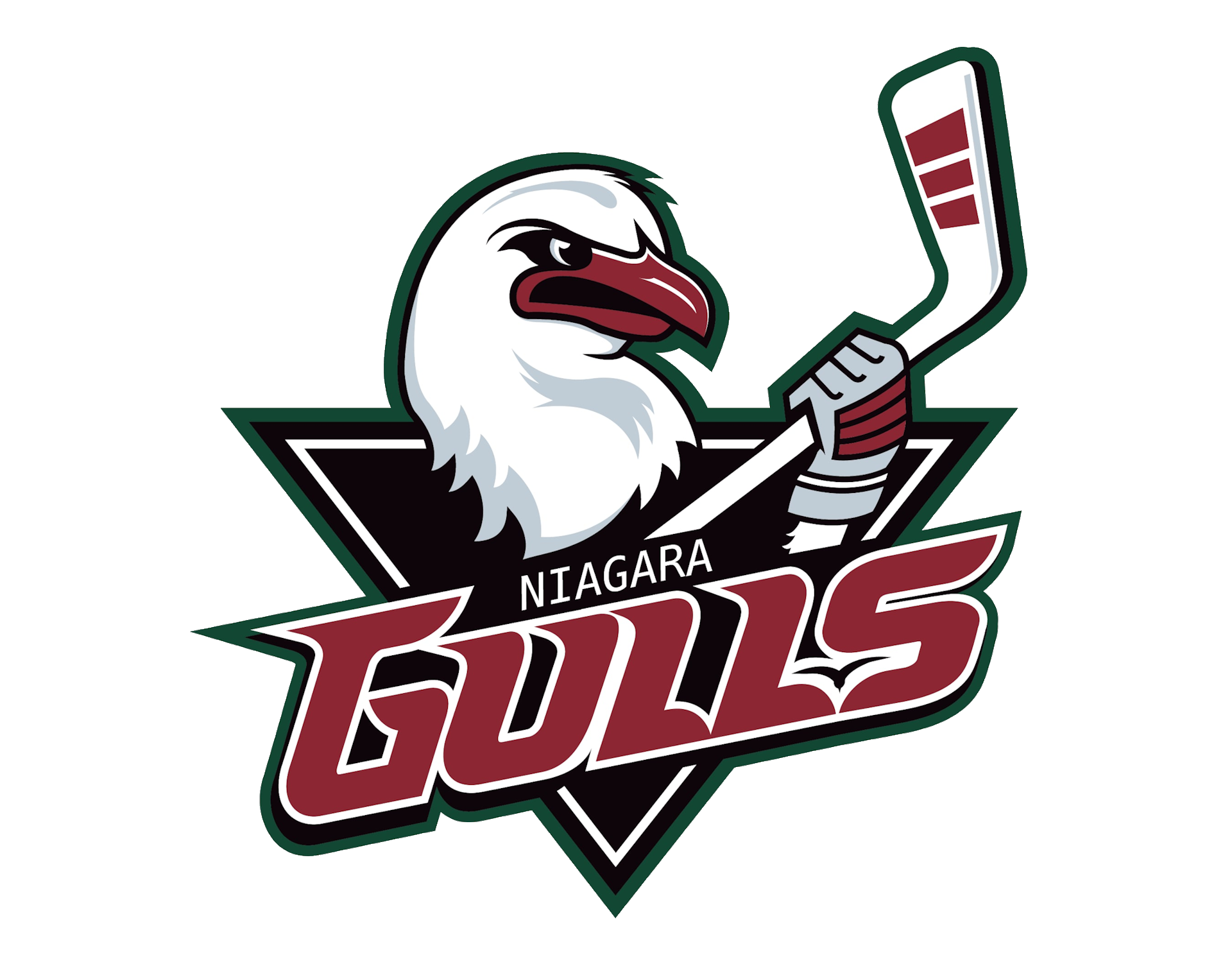 Gulls